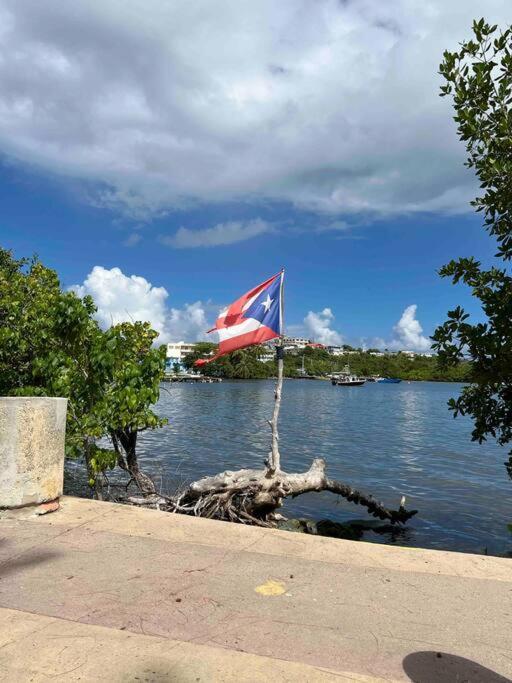 Casa Rosado Villa Marina Fajardo Yunque Seven Seas Екстериор снимка